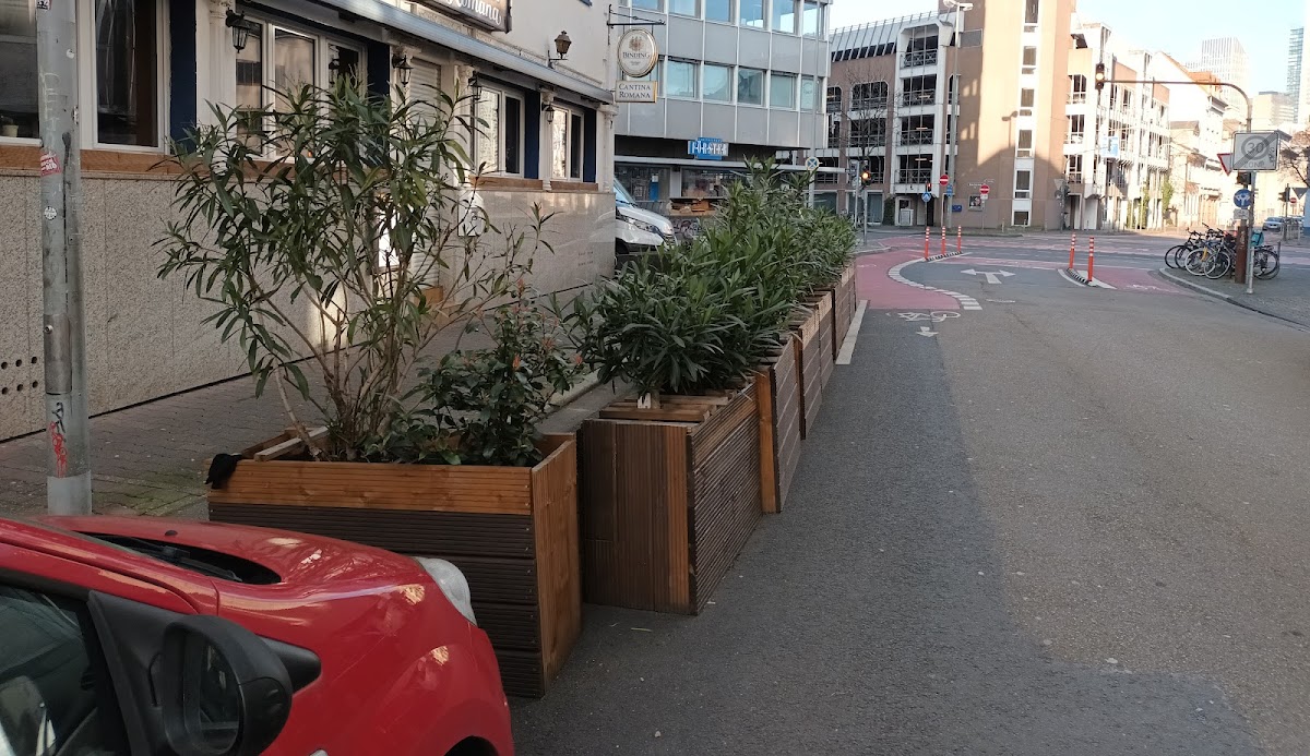 Ristorante Cantina Romana Photos 2